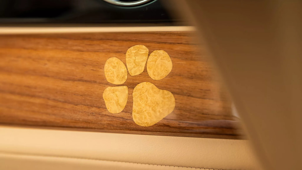 Rolls-Royce Spectre Bailey