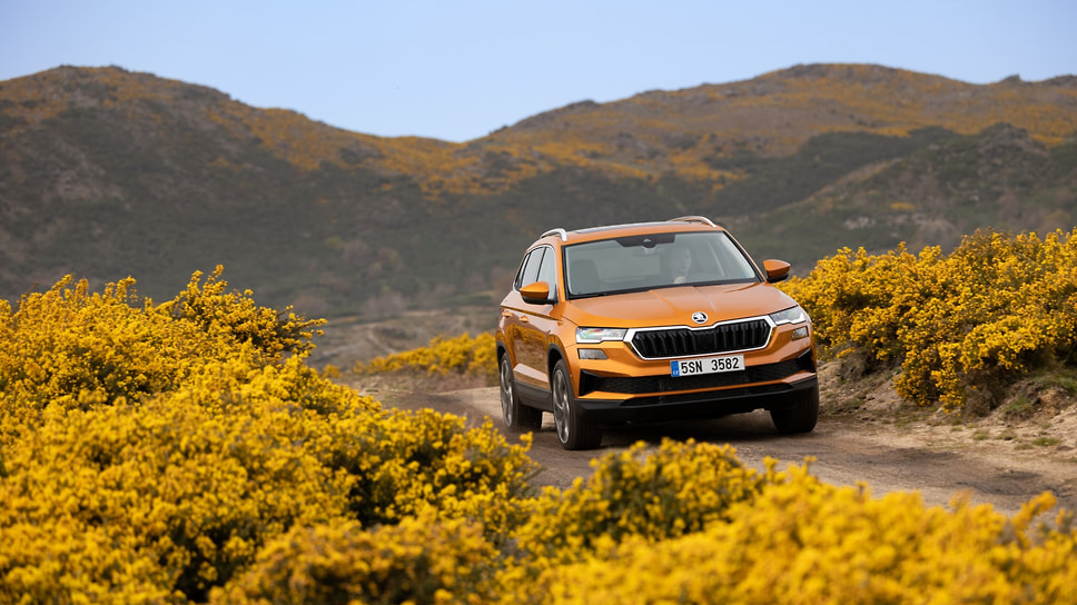 Skoda Karoq 
