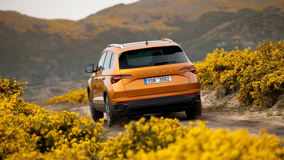 Skoda Karoq 
