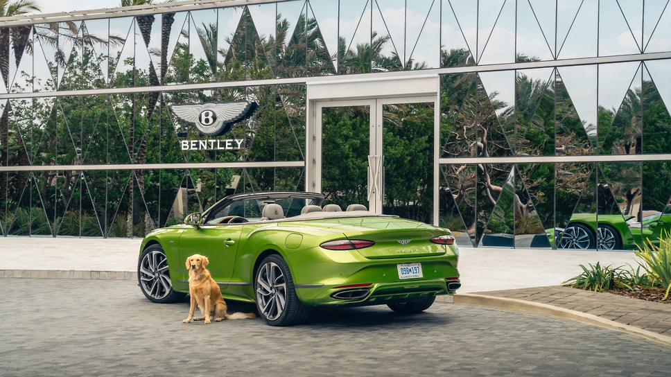 Компания Bentley открыла единственный в своем роде специализированный спа-салон для домашних животных Bentley Pet Spa