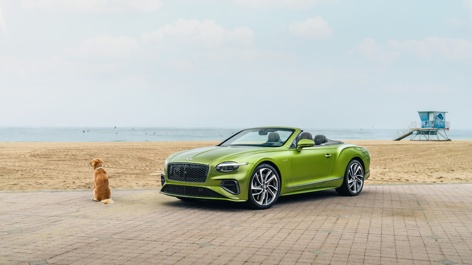 Компания Bentley открыла единственный в своем роде специализированный спа-салон для домашних животных Bentley Pet Spa