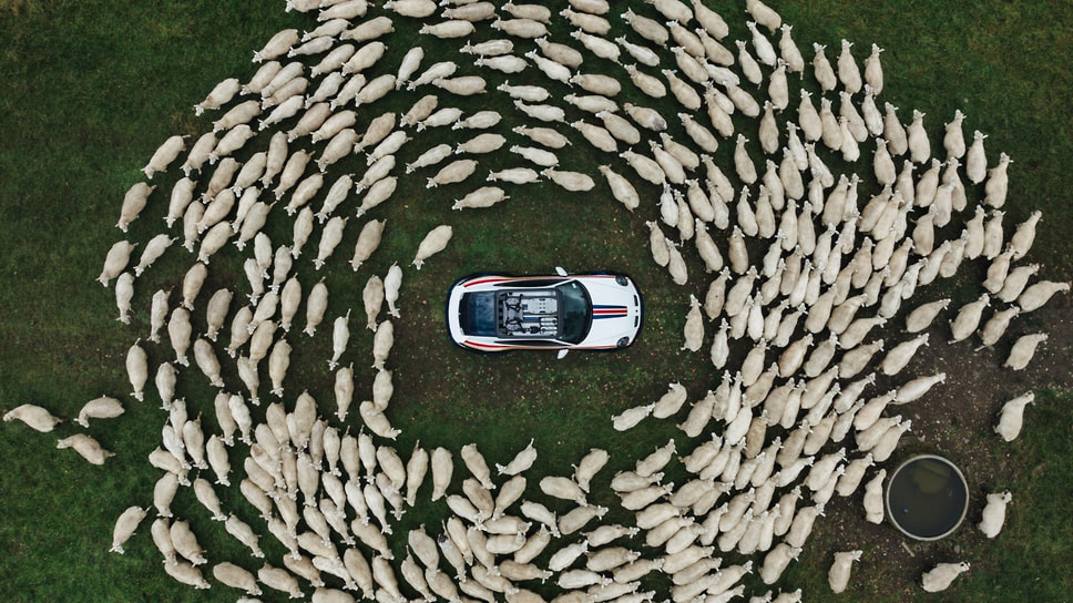 Новозеландский клуб любителей Porsche отмечает свой полувековой юбилей