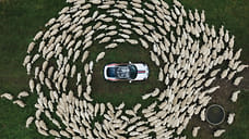 Лучшие автомобильные фото недели