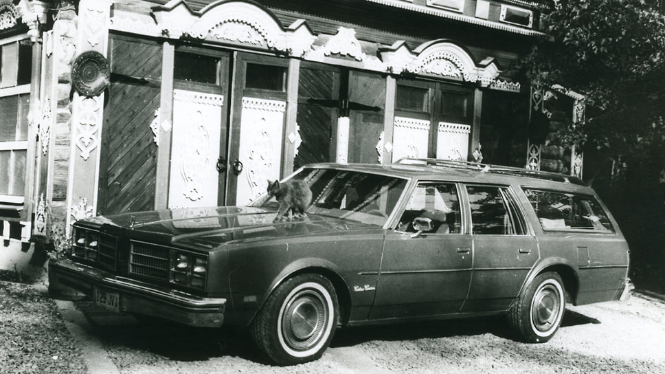 Oldsmobile Vista Cruiser 1978 года выпуска был приобретен в США и зарегистрирован на жену Луи, британскую подданную Дженифер Стейтем Маргарет. Снимок сделан рядом с гаражом, на капоте — кошка Муська
