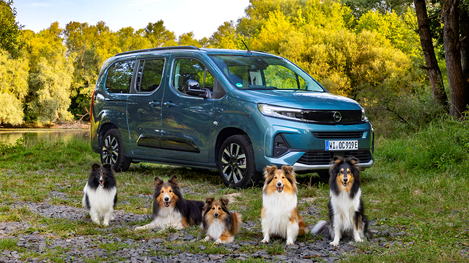 Opel напоминает о Всемирном дне собак, который отмечается 10 октября. Как утверждают в компании, электрический минивэн Combo Electric — одна из лучших в мире моделей для путешествий с домашними животными