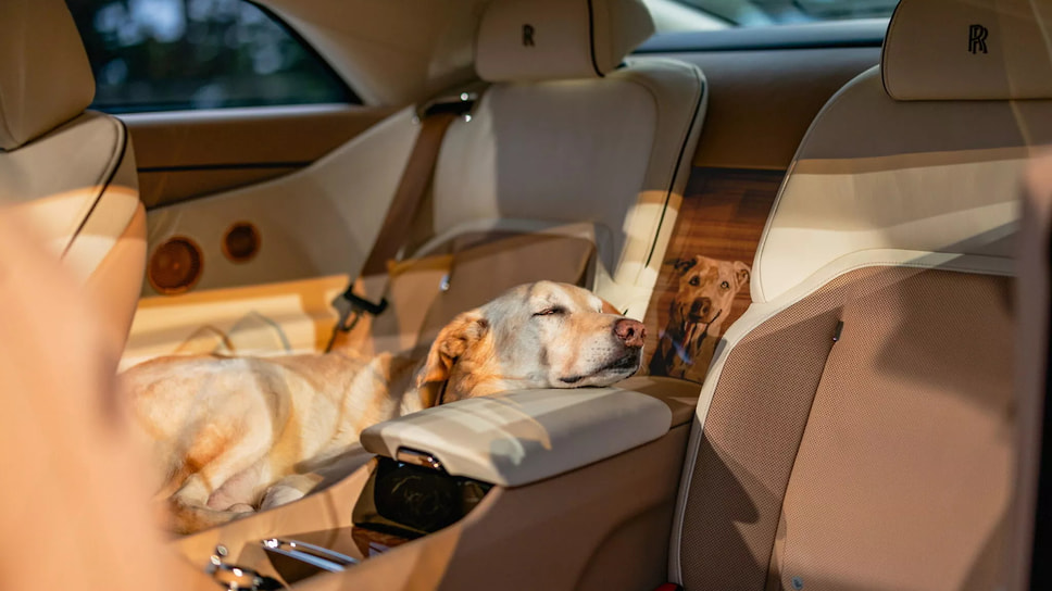 Интерьер особой версии электрического купе Rolls-Royce Spectre, посвященного метису лабрадора и золотистого ретривера по кличке Бейли. Автомобиль выполнили по спецзаказу супружеской пары из США 