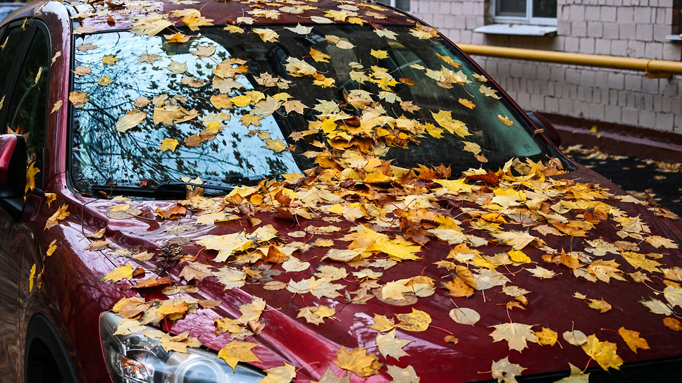 В центральной части Европейской России еще идет золотая осень 