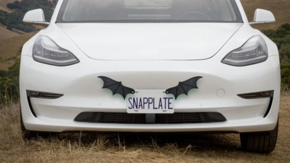 Чуть менее агрессивный вариант — крылья летучей мыши, готический декор для номерного знака