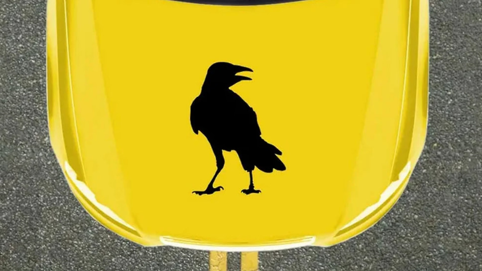 Безобидный ворон — на самом-то деле образ из фильма «Ворон»» 1994 года, главный герой которого воскресает из мертвых, чтобы отомстить за убийство своей невесты