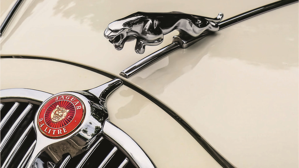 Jaguar