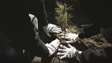 Задача со звездочкой