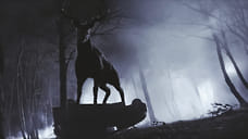 Петля осени